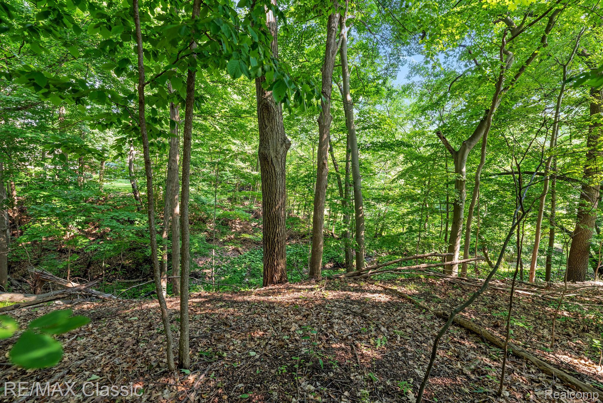 26990 HAMPSTEAD Boulevard