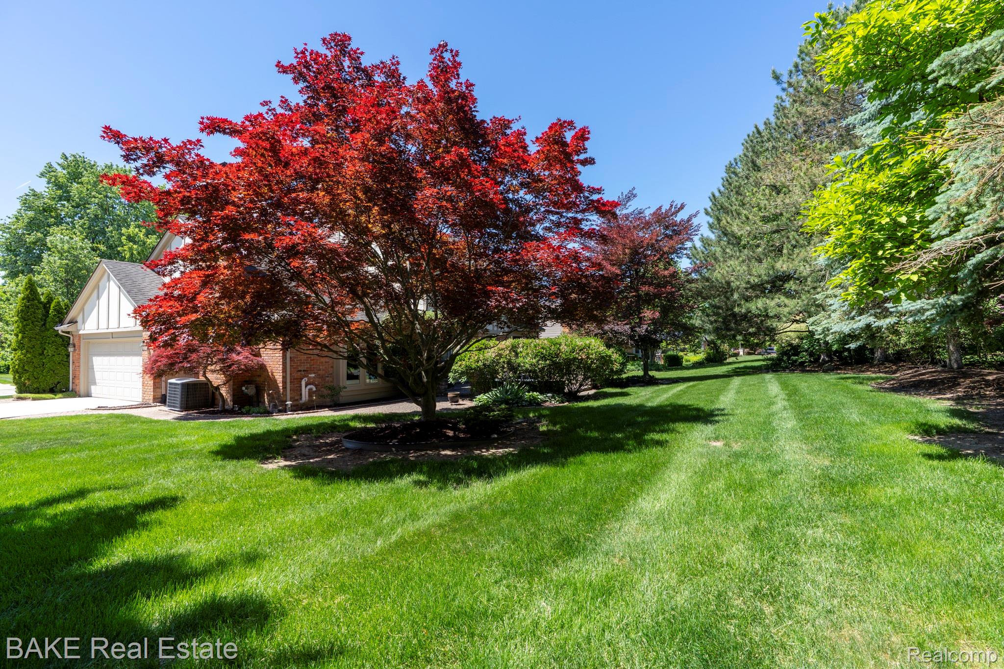 10000 Red Maple Drive