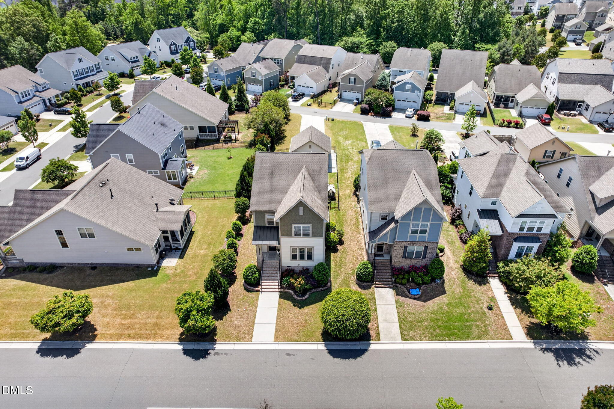 916 Conifer Forest Lane