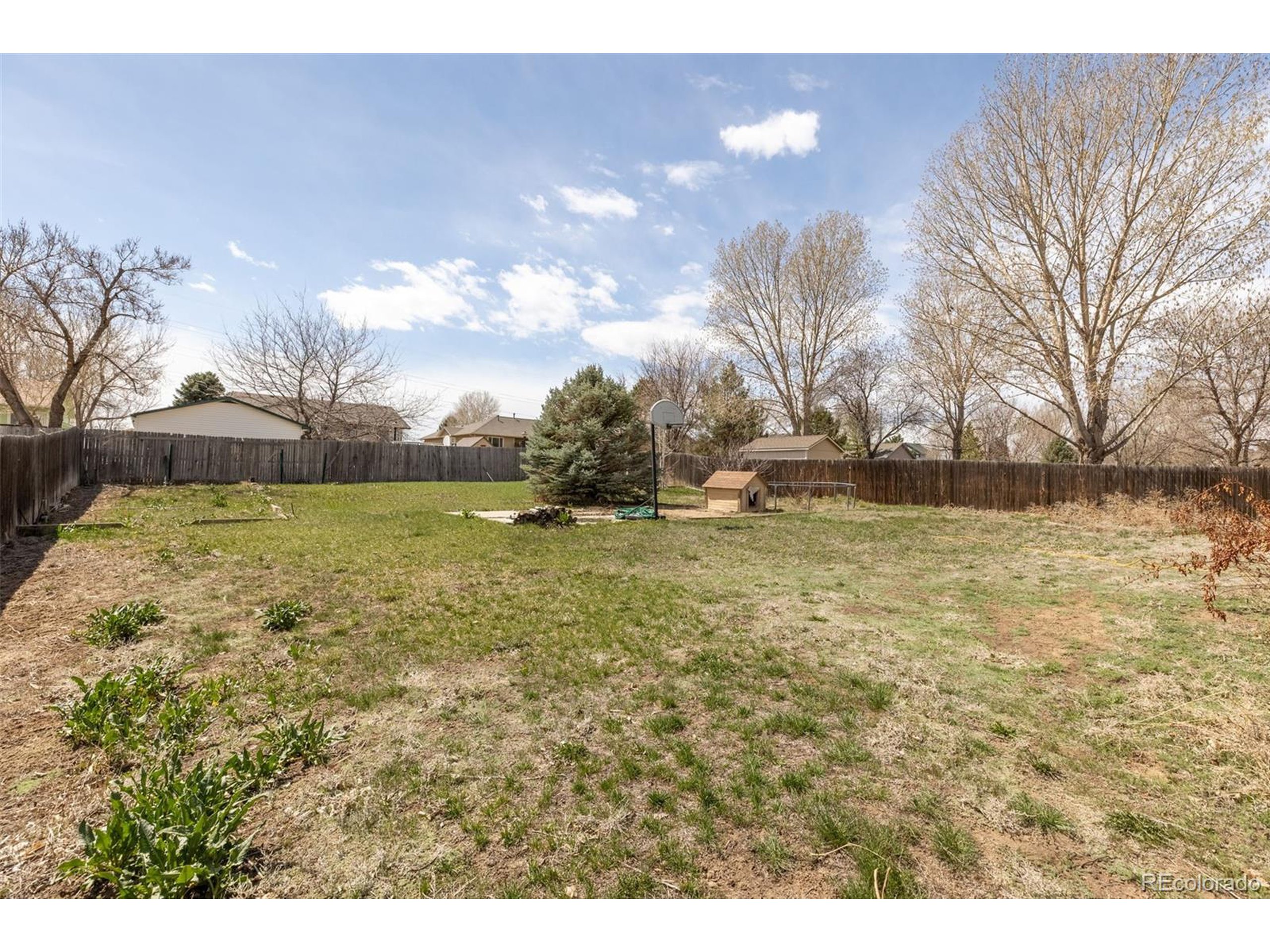 144 Falcon Cir