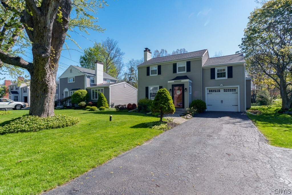 313 Bronson Road