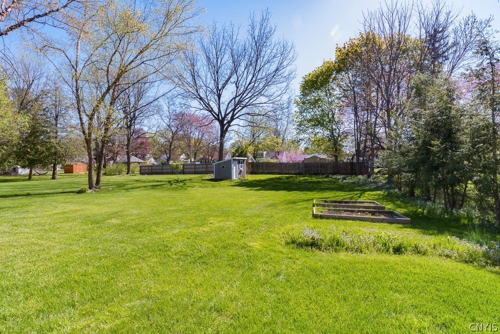 313 Bronson Road