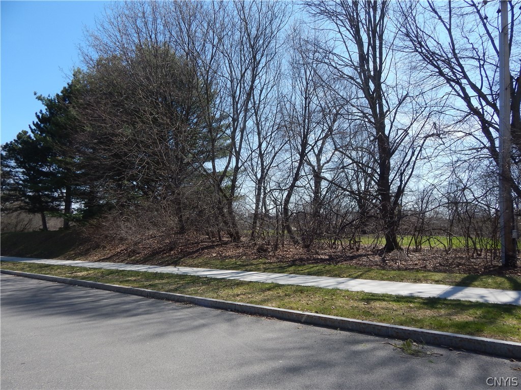 278 COLERIDGE Avenue