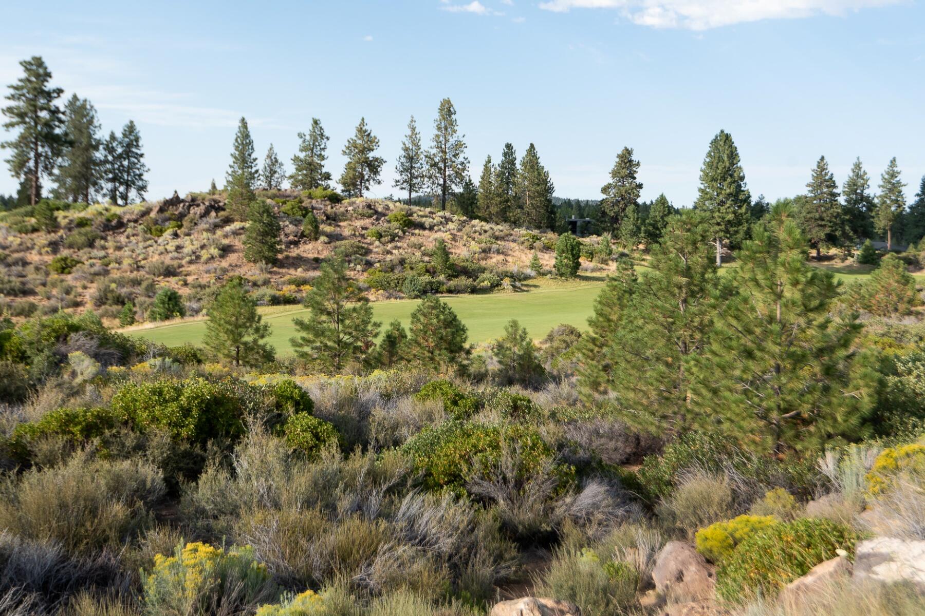 61353 Triple Knot Road