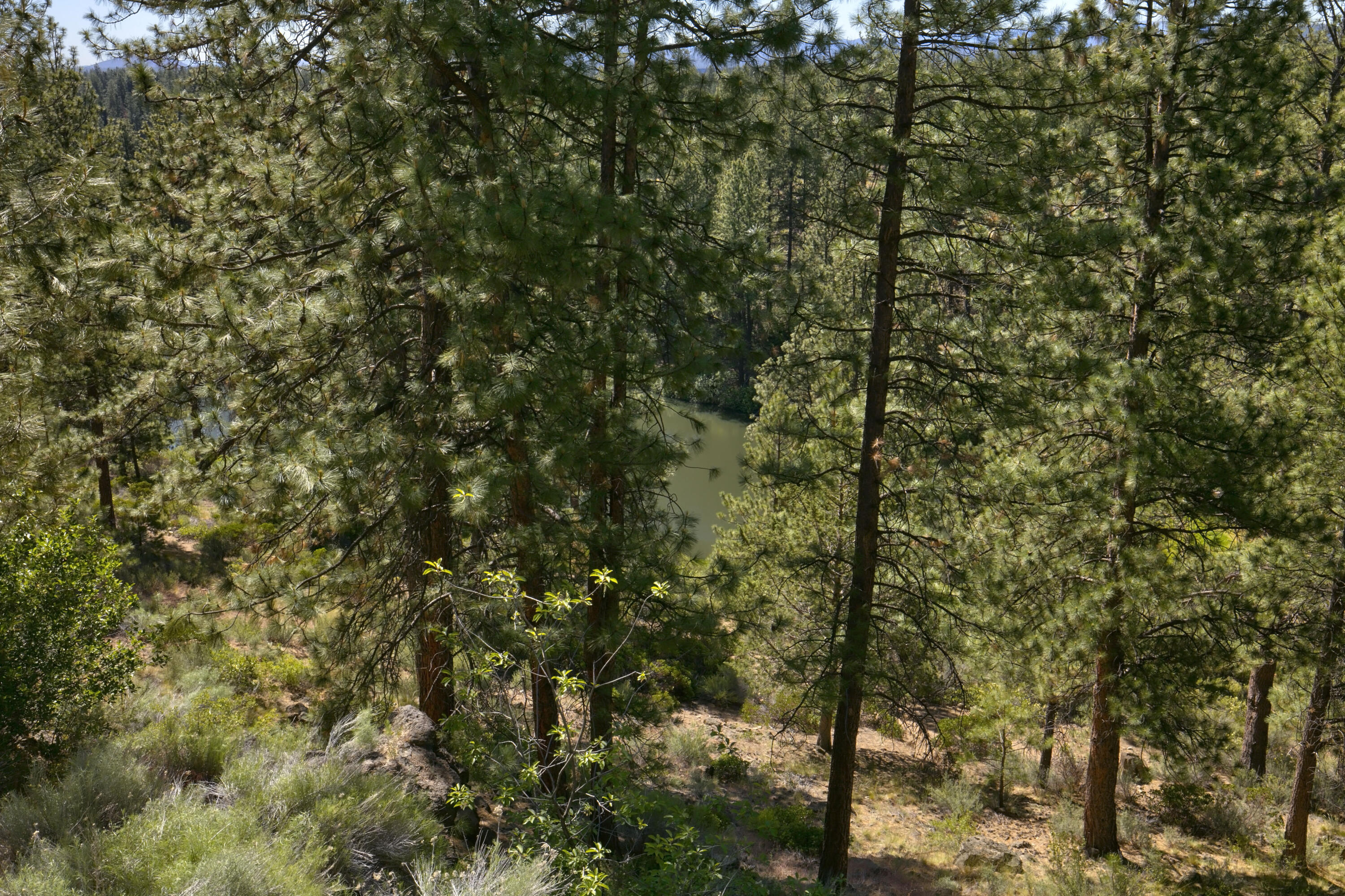 18575 SW Century Drive, # 921