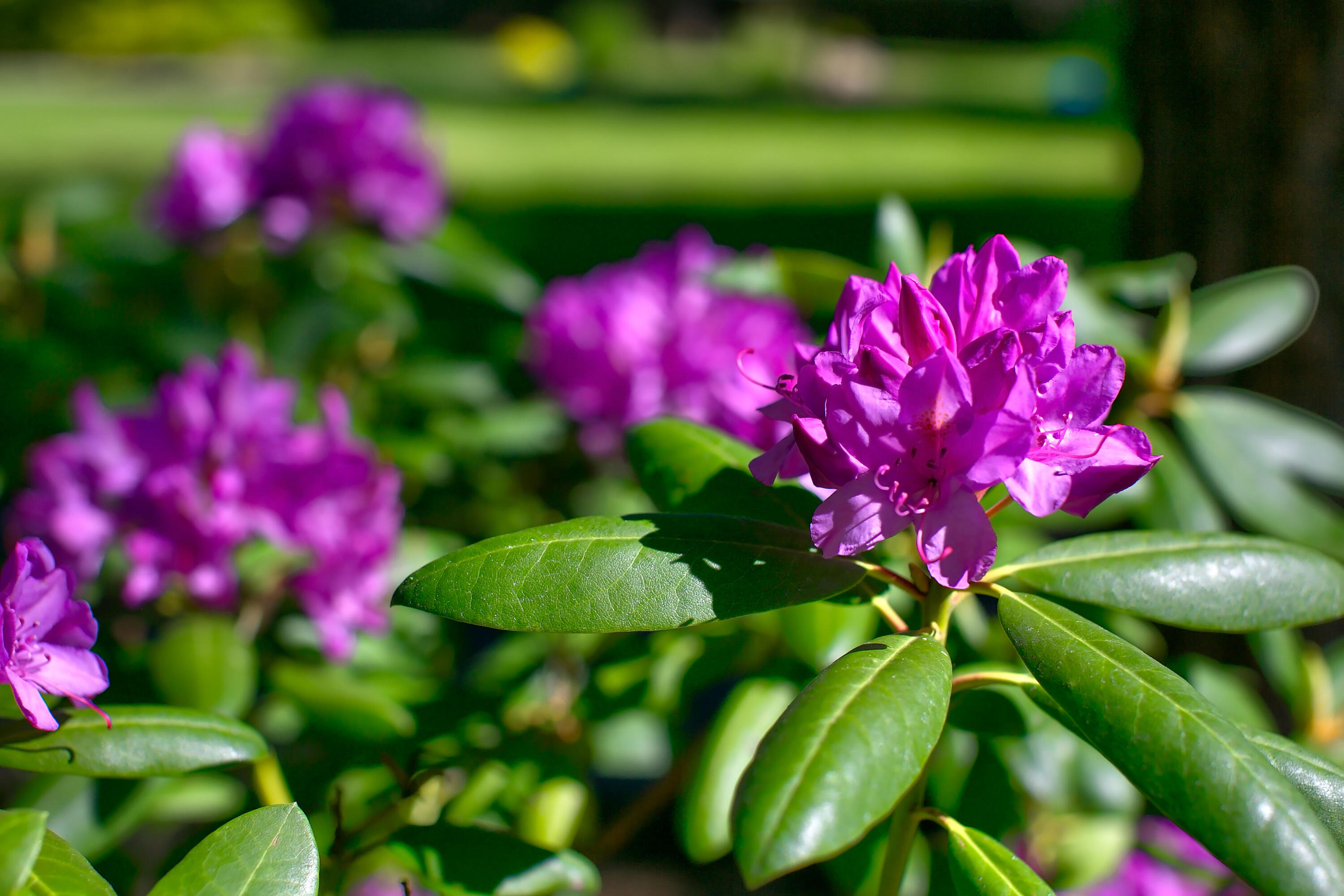 18575 SW Century Drive, # 921