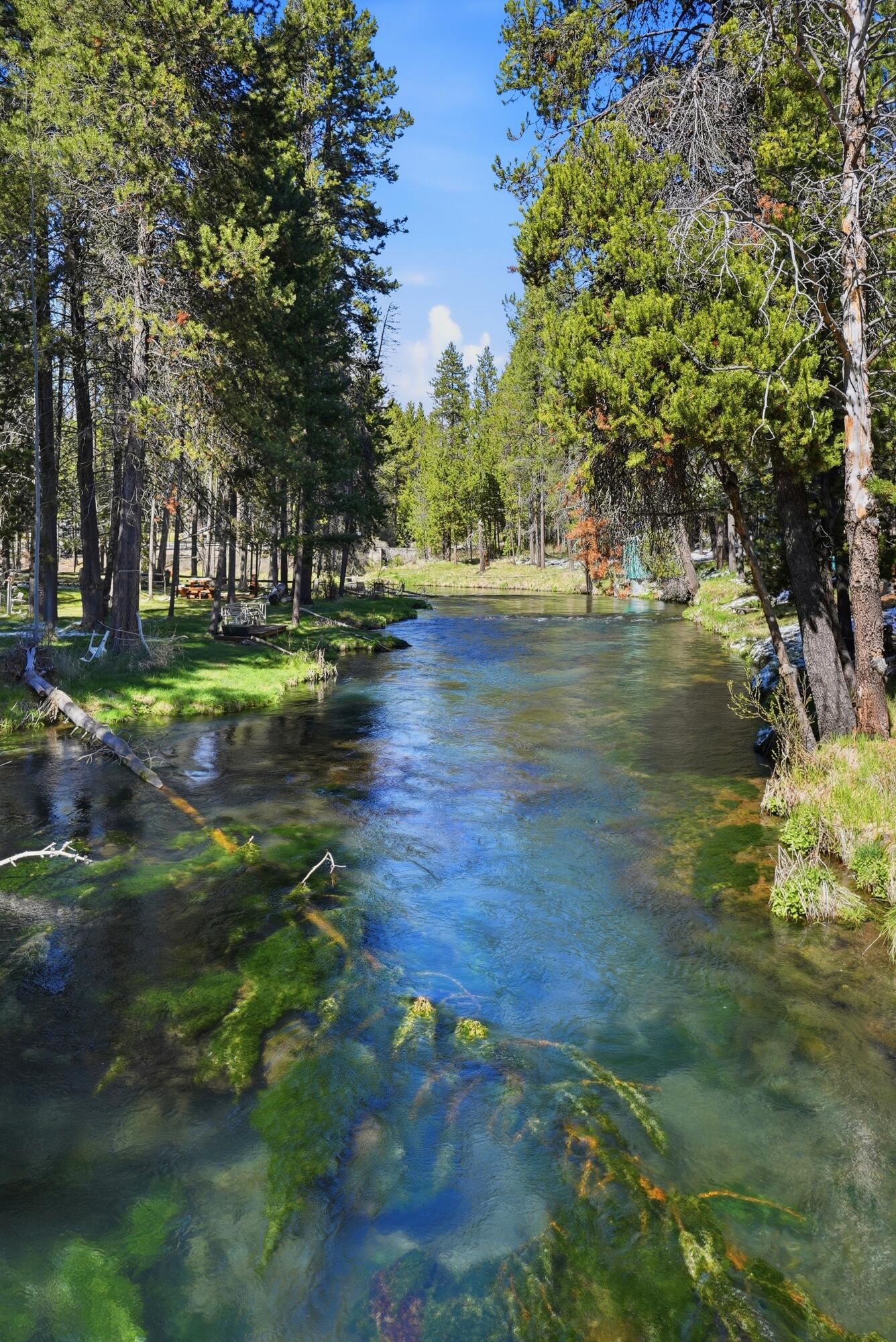 15171 W River Loop Drive W