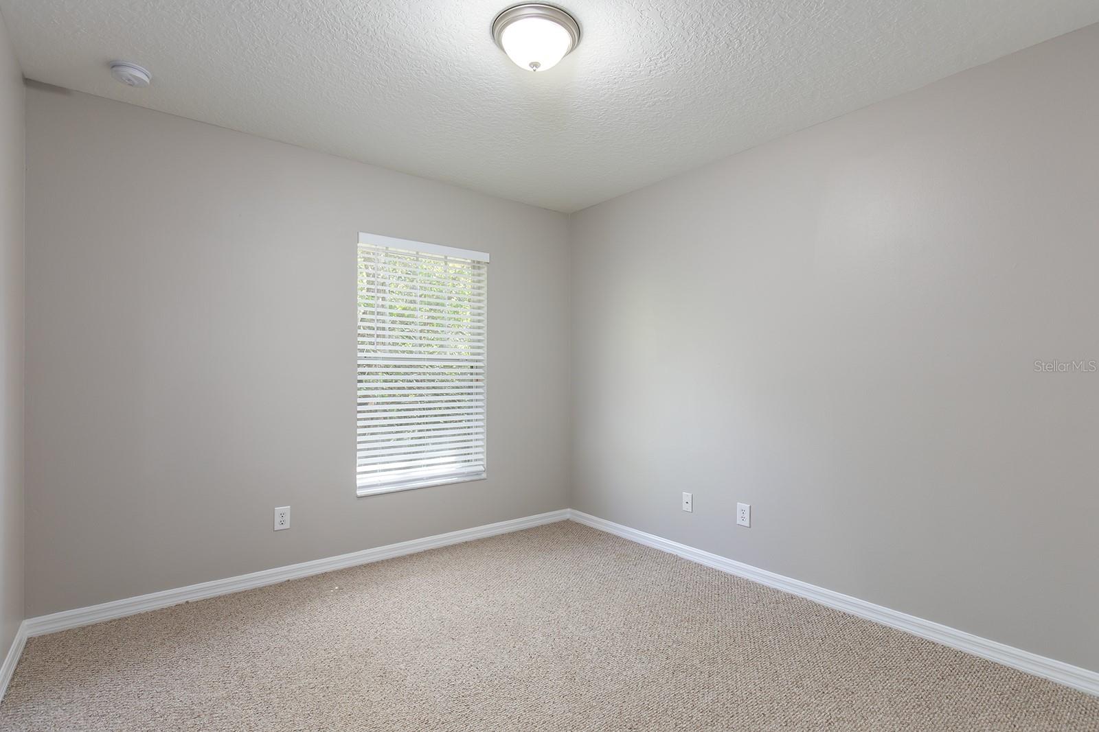 5565 GELATO DR