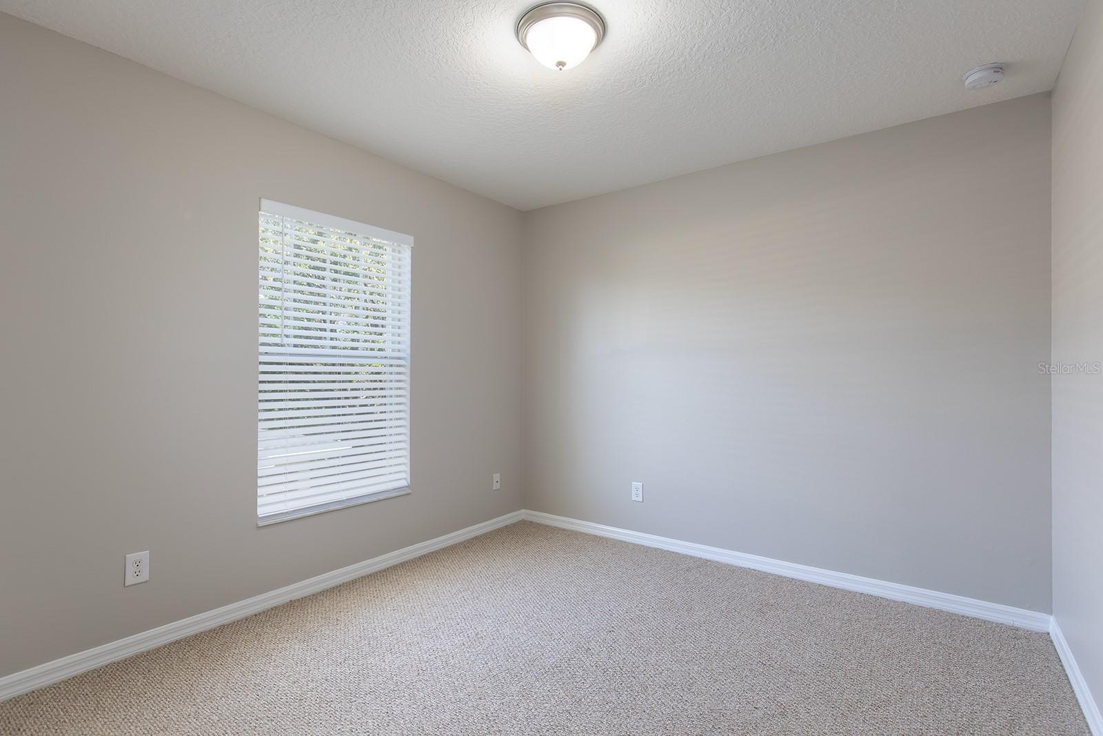 5565 GELATO DR