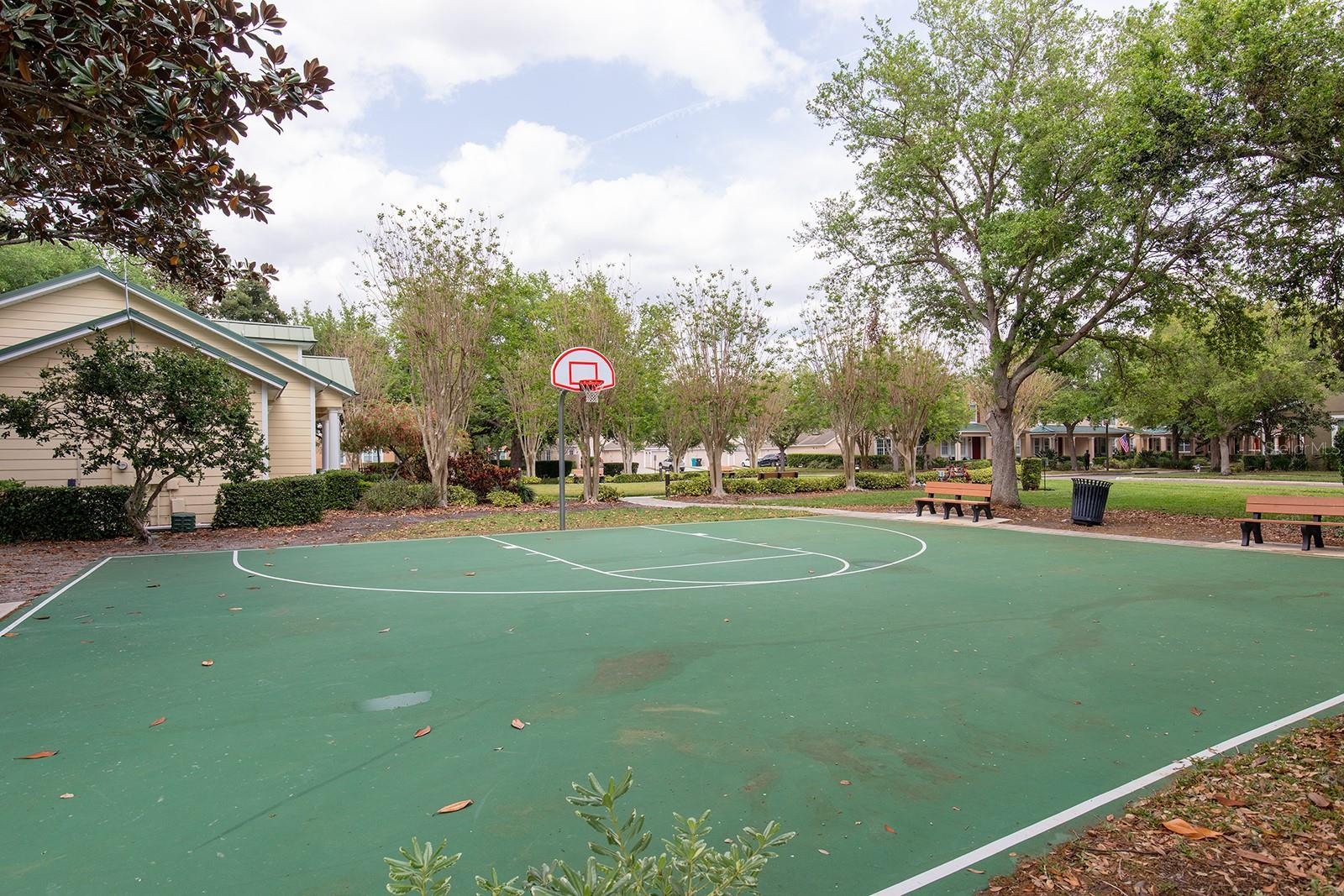 8036 EDGEWOOD FOREST DR