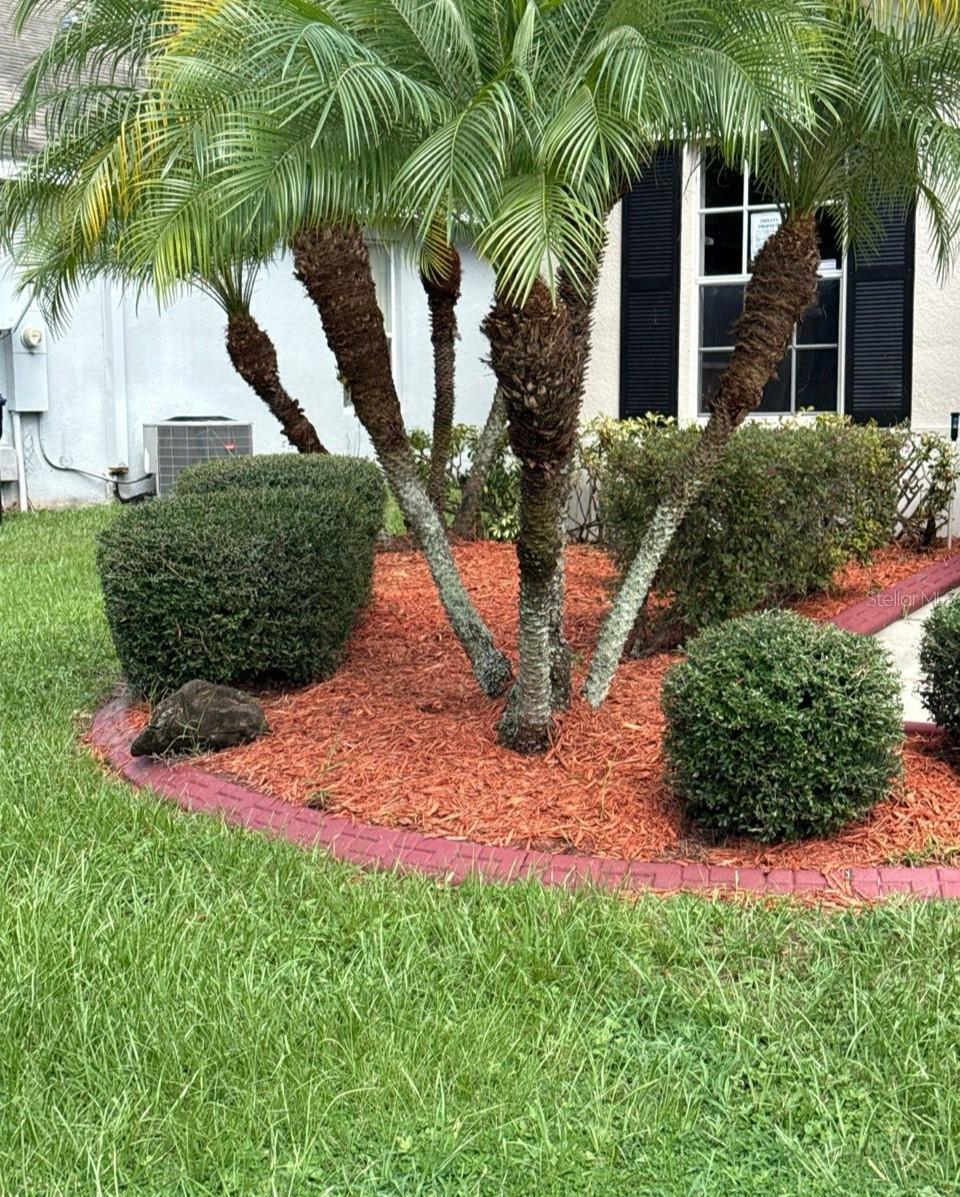 14515 HUNTCLIFF PARK WAY