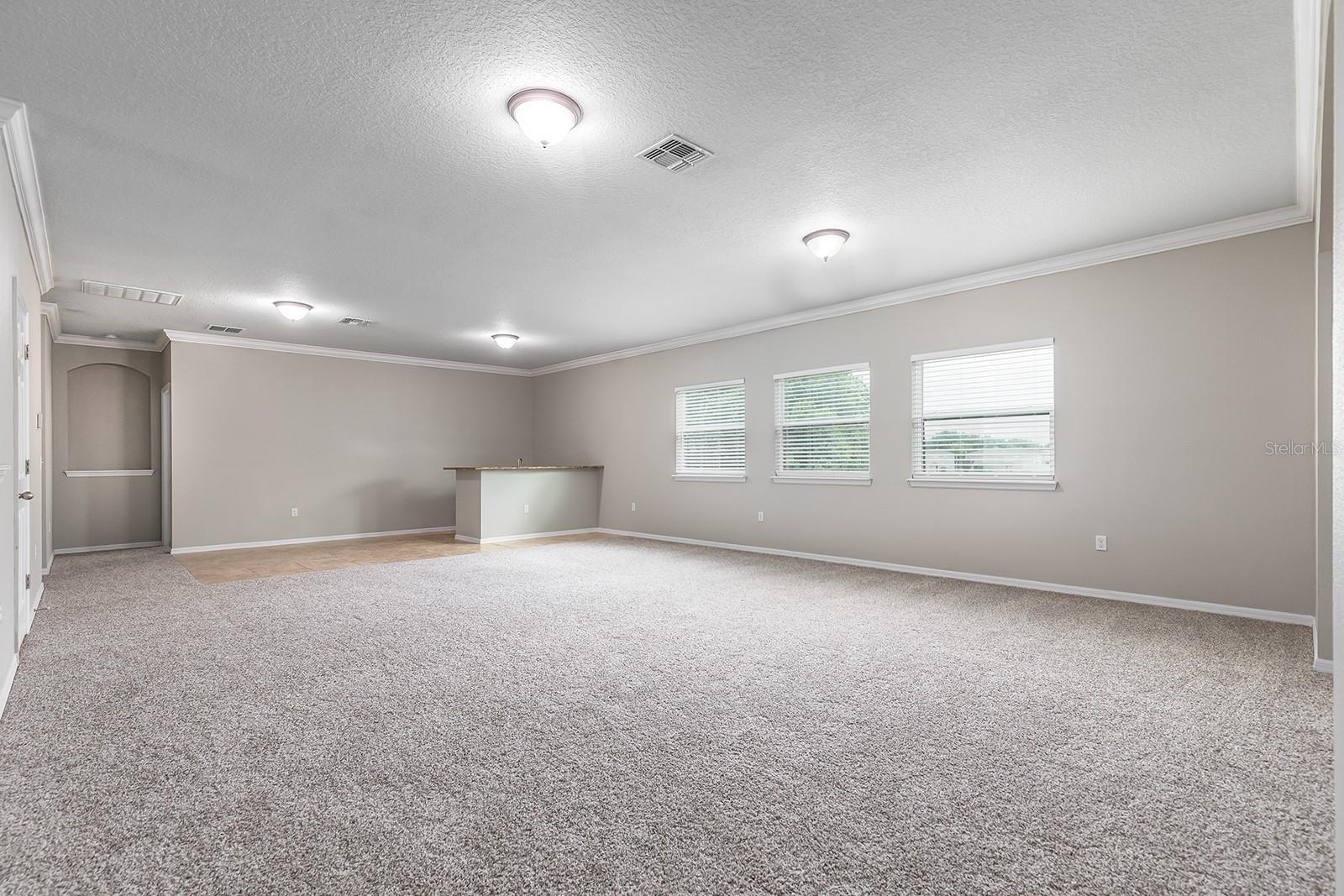 15505 BELLE MEADE DR