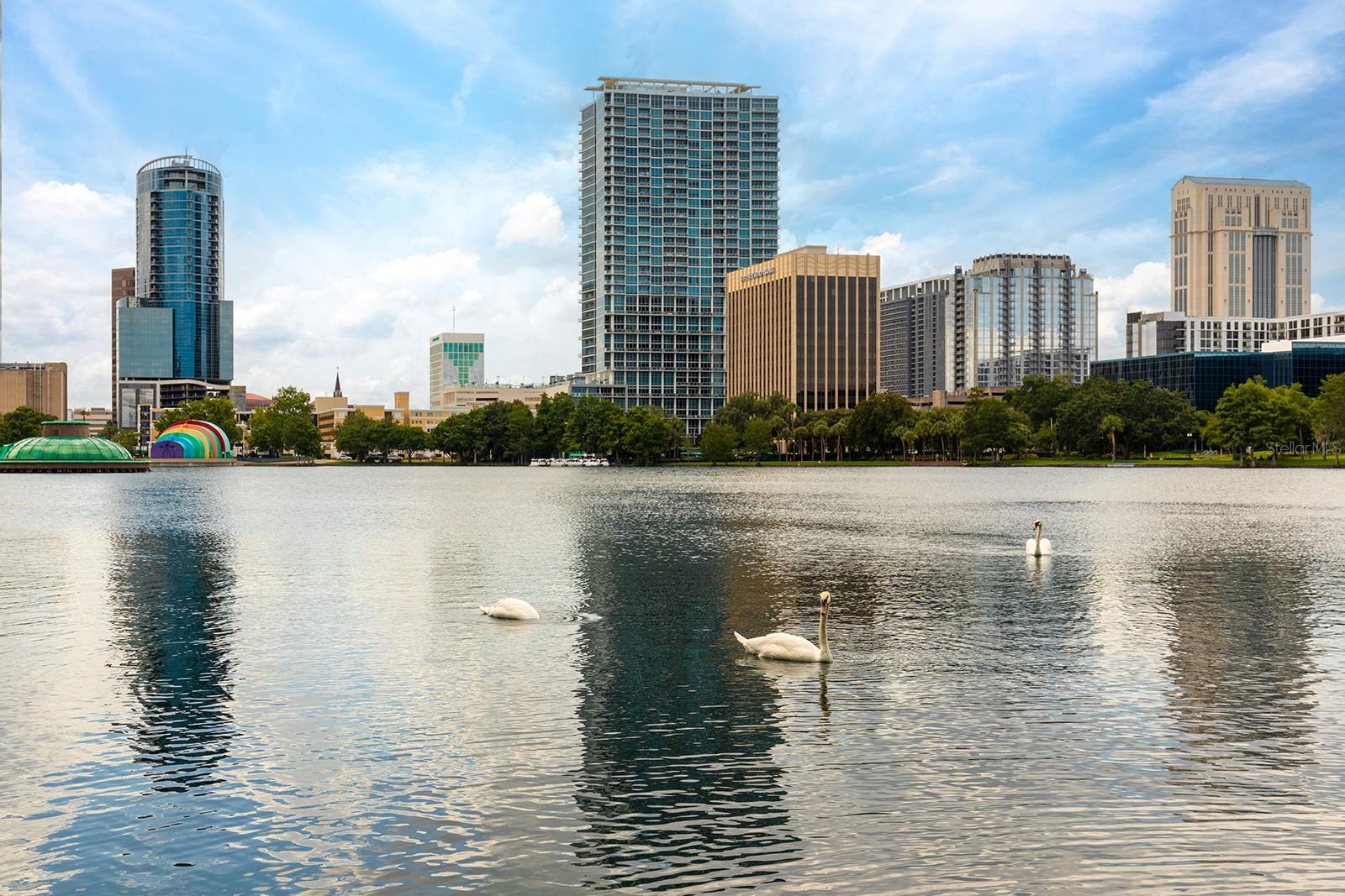 150 E ROBINSON ST #2408