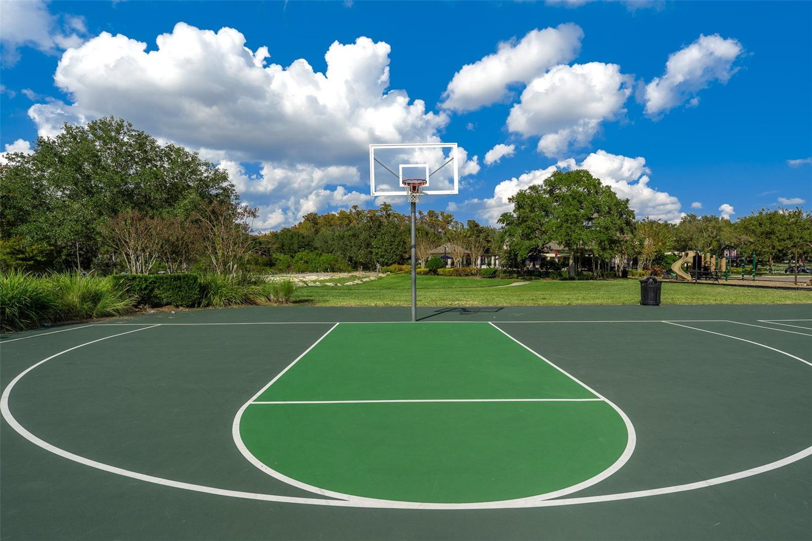 14649 OLD THICKET TRCE