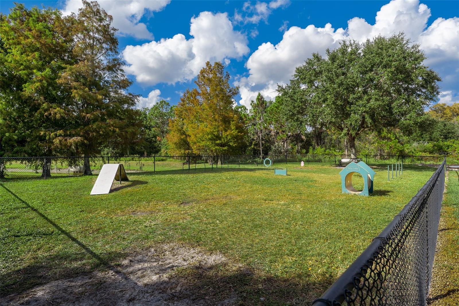 14649 OLD THICKET TRCE