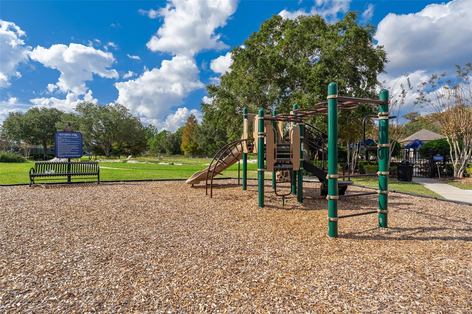 14649 OLD THICKET TRCE