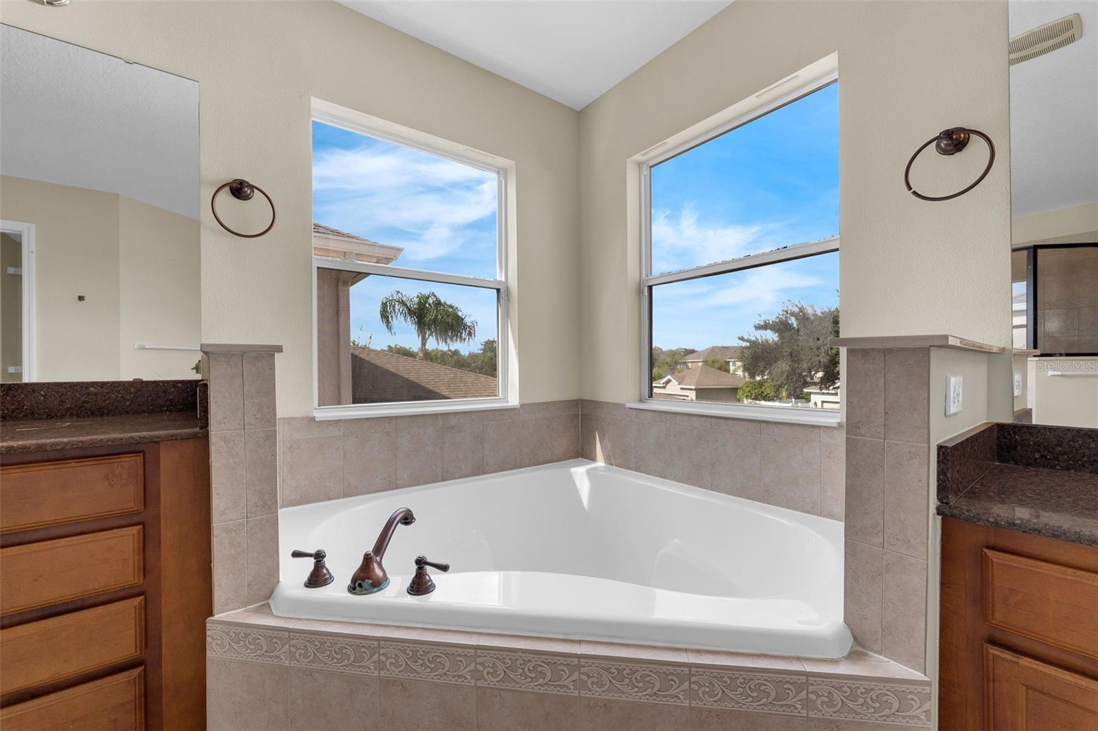 14649 OLD THICKET TRCE