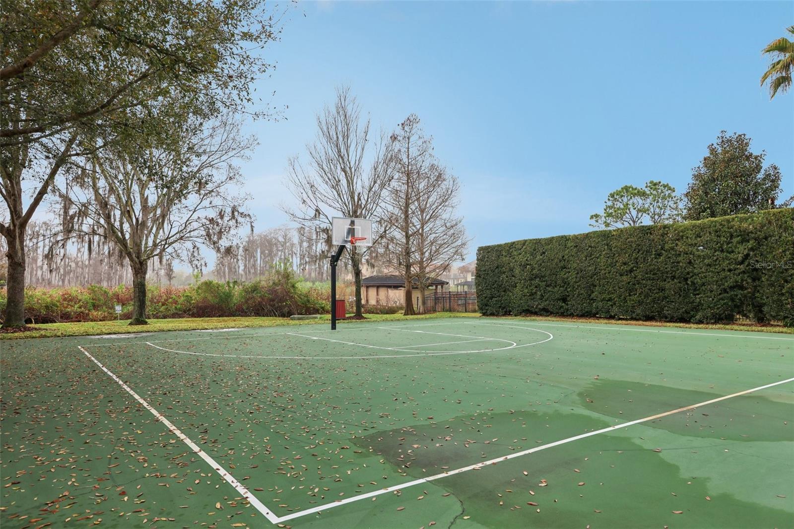 11866 CAMDEN PARK DR