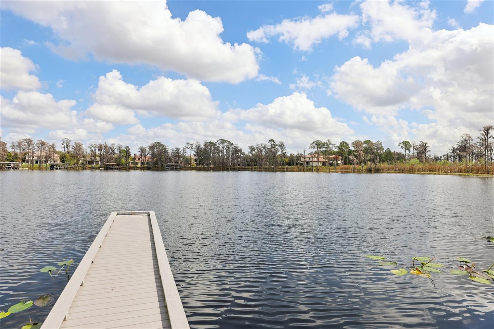 11866 CAMDEN PARK DR