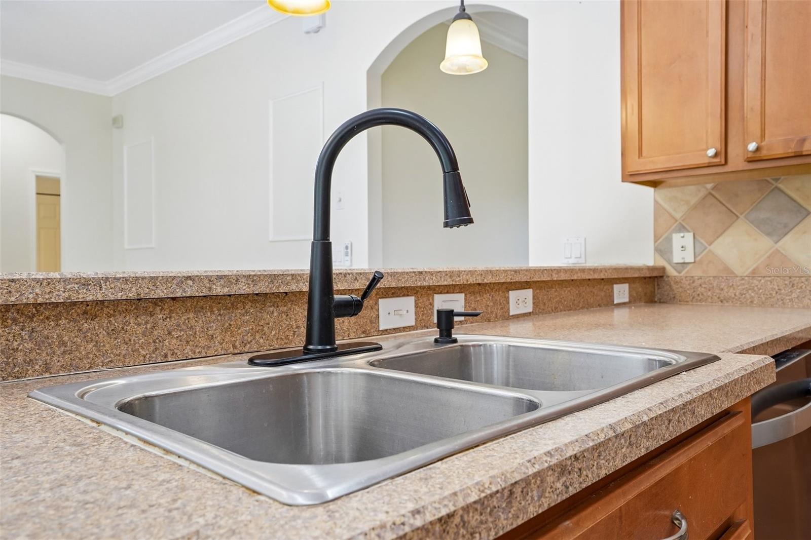 2331 CARNATION HILL CT