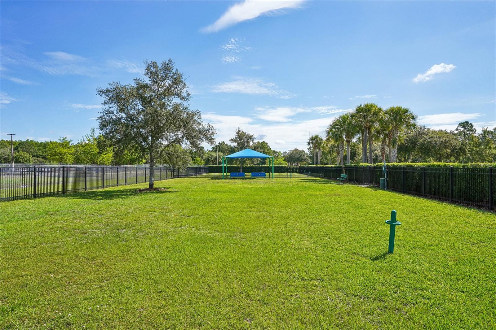 2331 CARNATION HILL CT