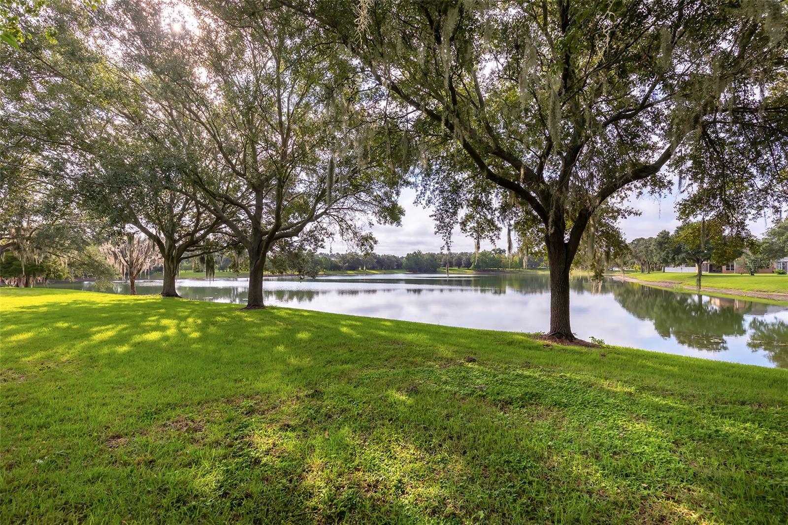 13844 AMELIA POND DR