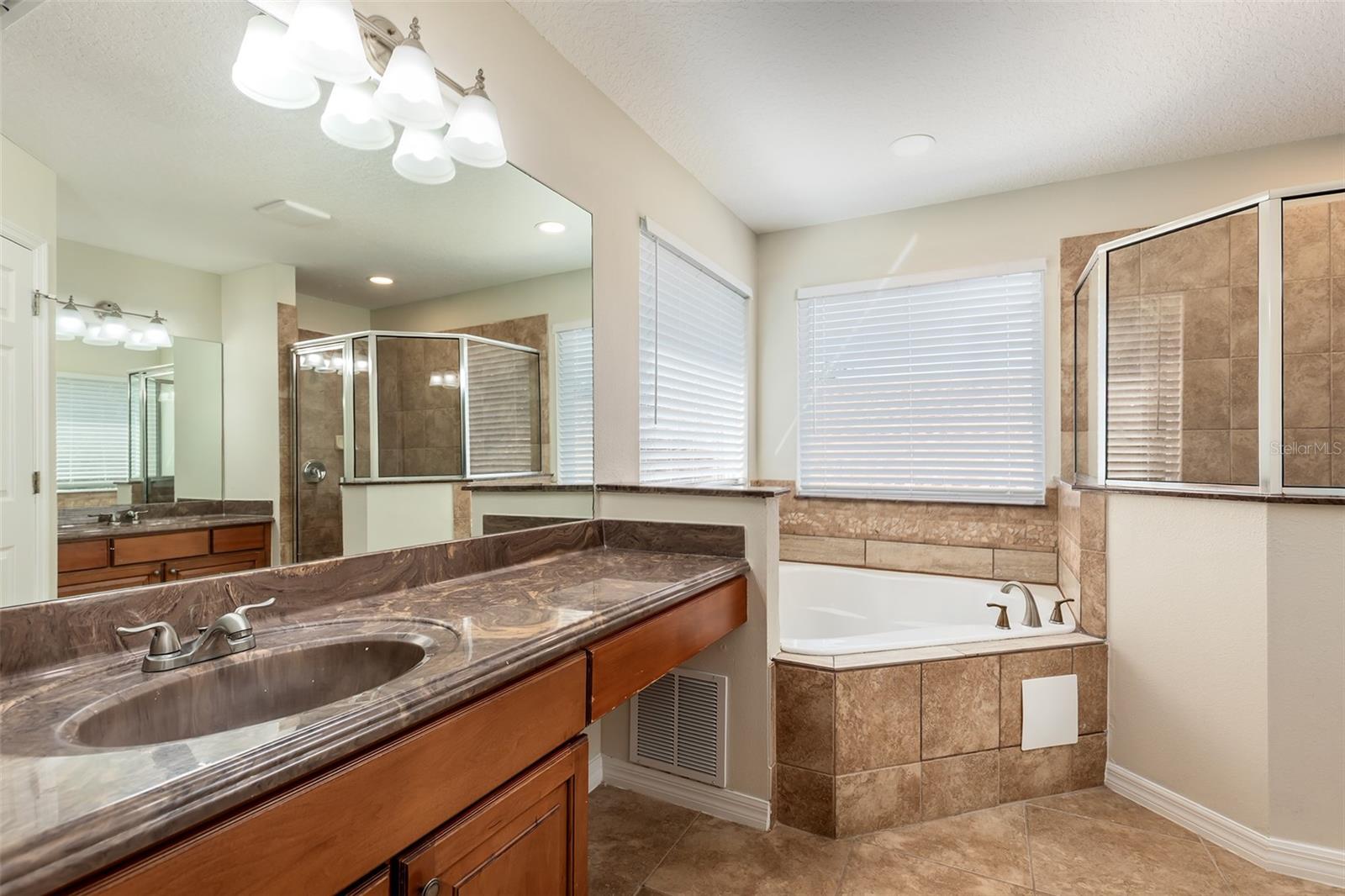 13844 AMELIA POND DR