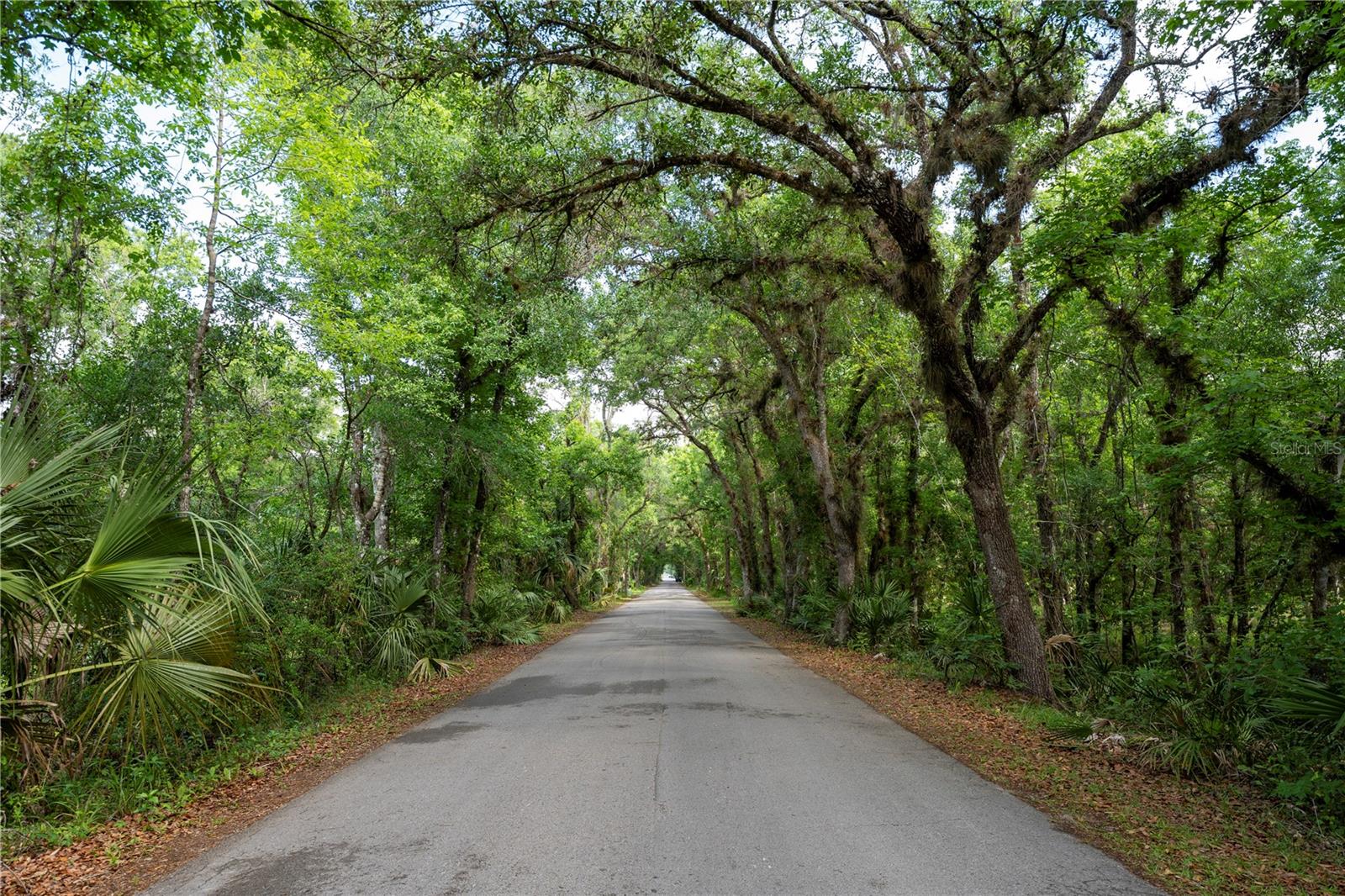 651 S COUNTY ROAD 13