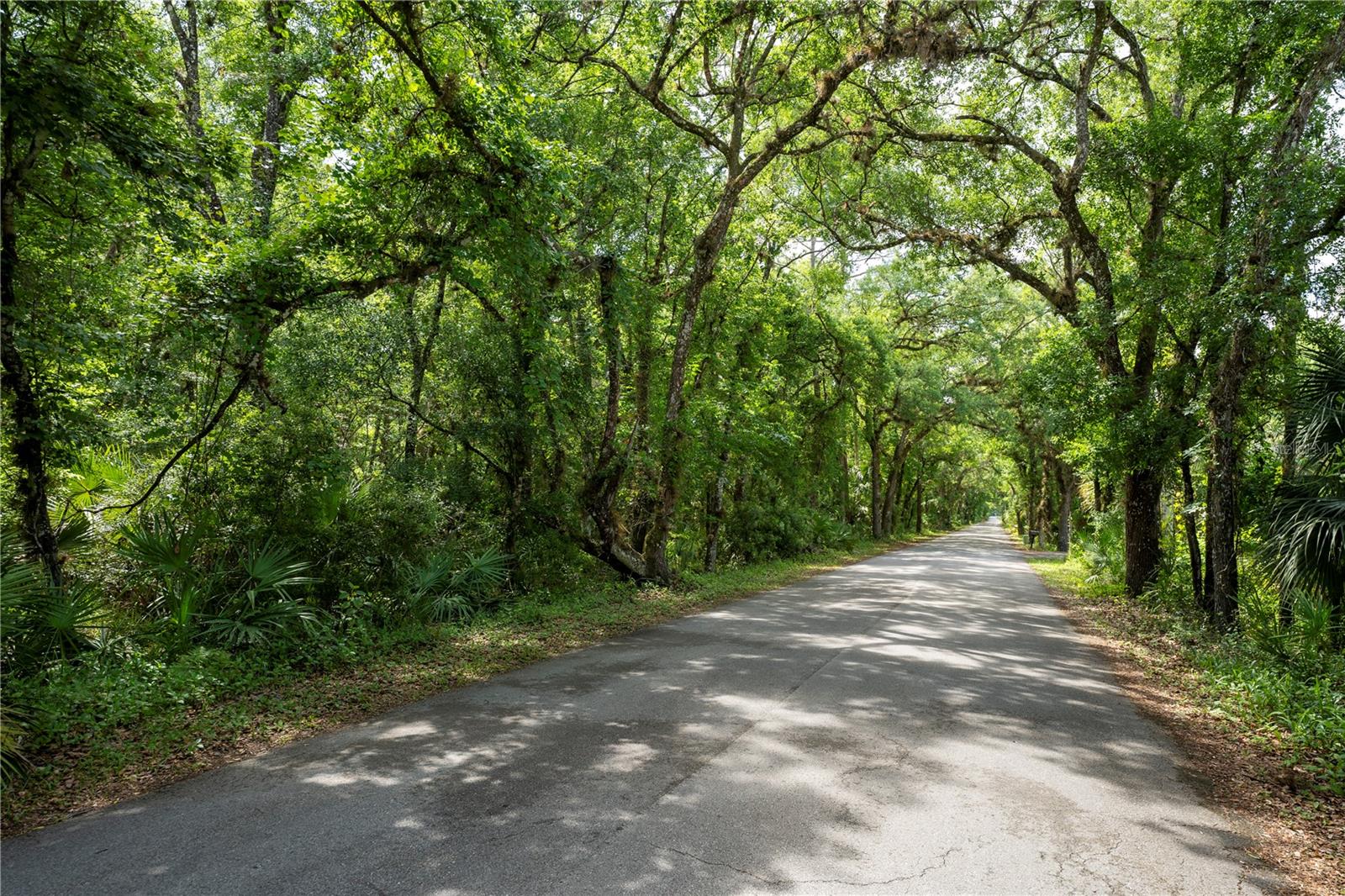 651 S COUNTY ROAD 13
