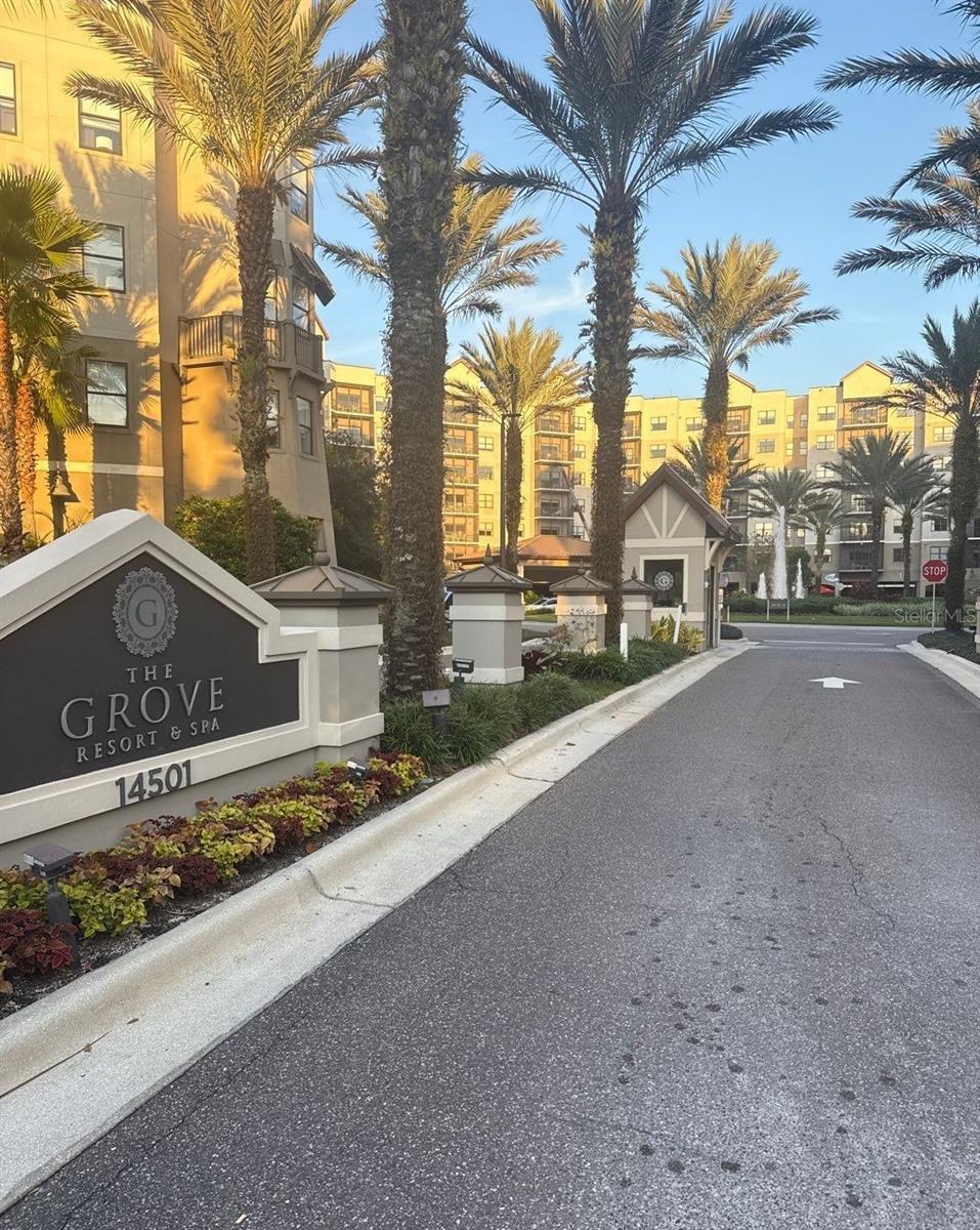 14501 GROVE RESORT AVE #2616