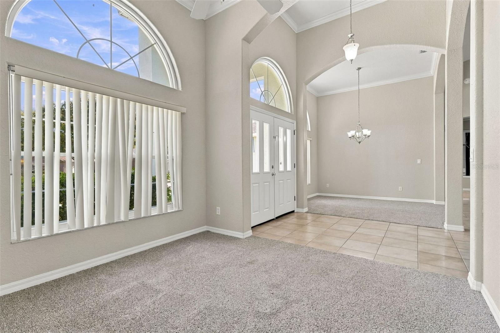 4214 CINNAMON FERN CT