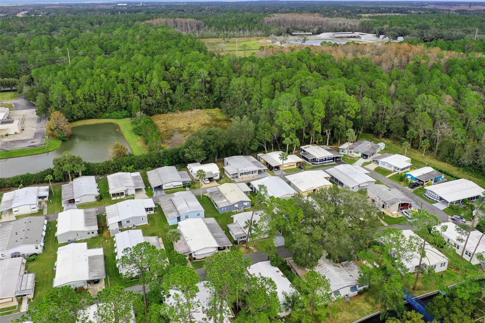 221 PINEWOOD DR