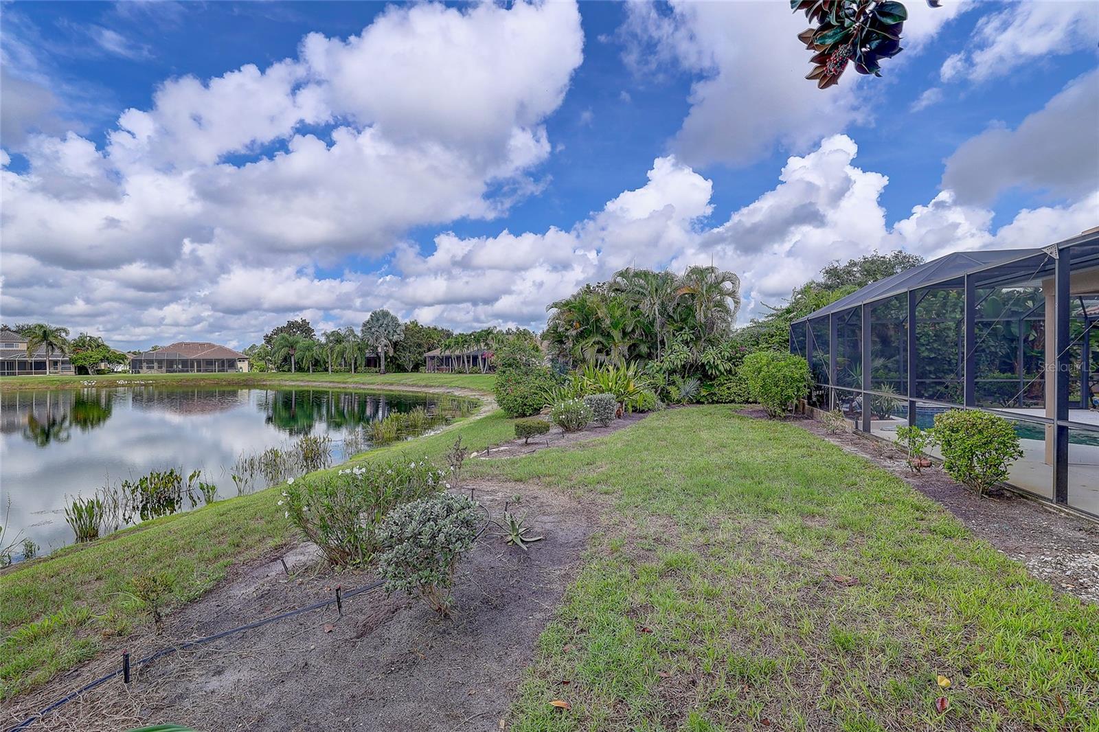 Backyard with a pond, tropical landscaping, and a screened lanai.