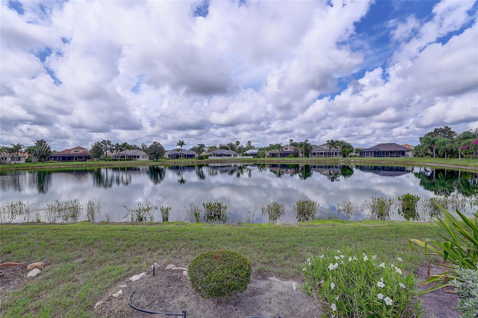 Backyard overlooking a calm lake, with palm-lined homes reflected across the water.