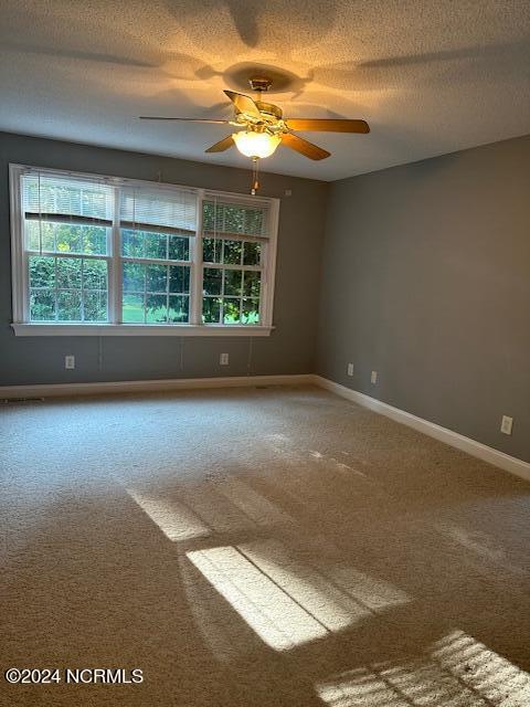 810 Stone Drive