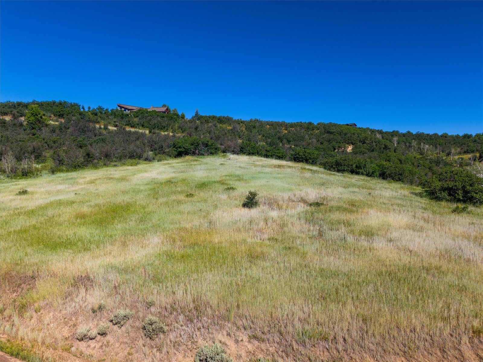 21560 Whitewood DRIVE W