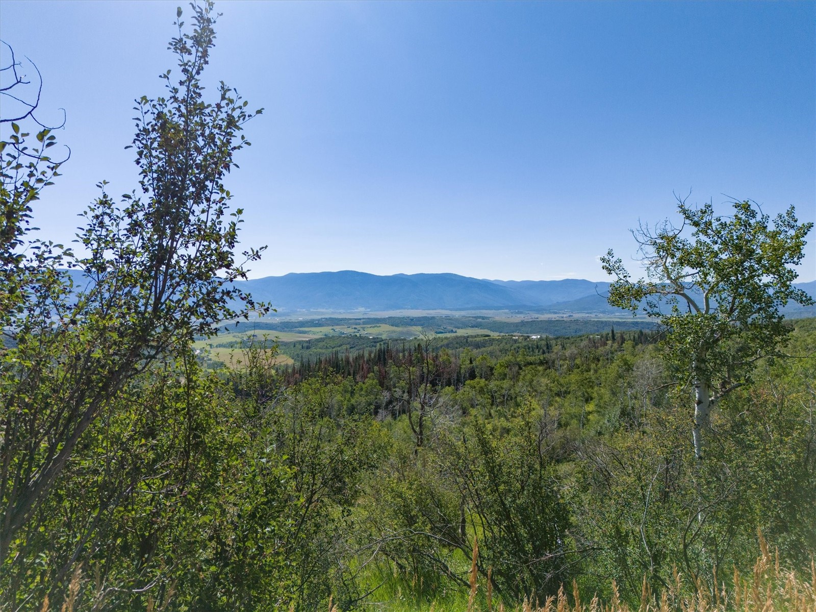 21560 Whitewood DRIVE W