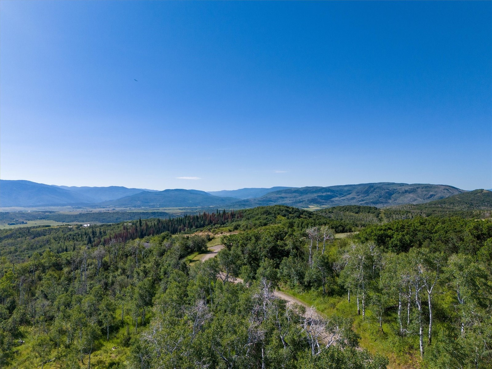 21560 Whitewood DRIVE W