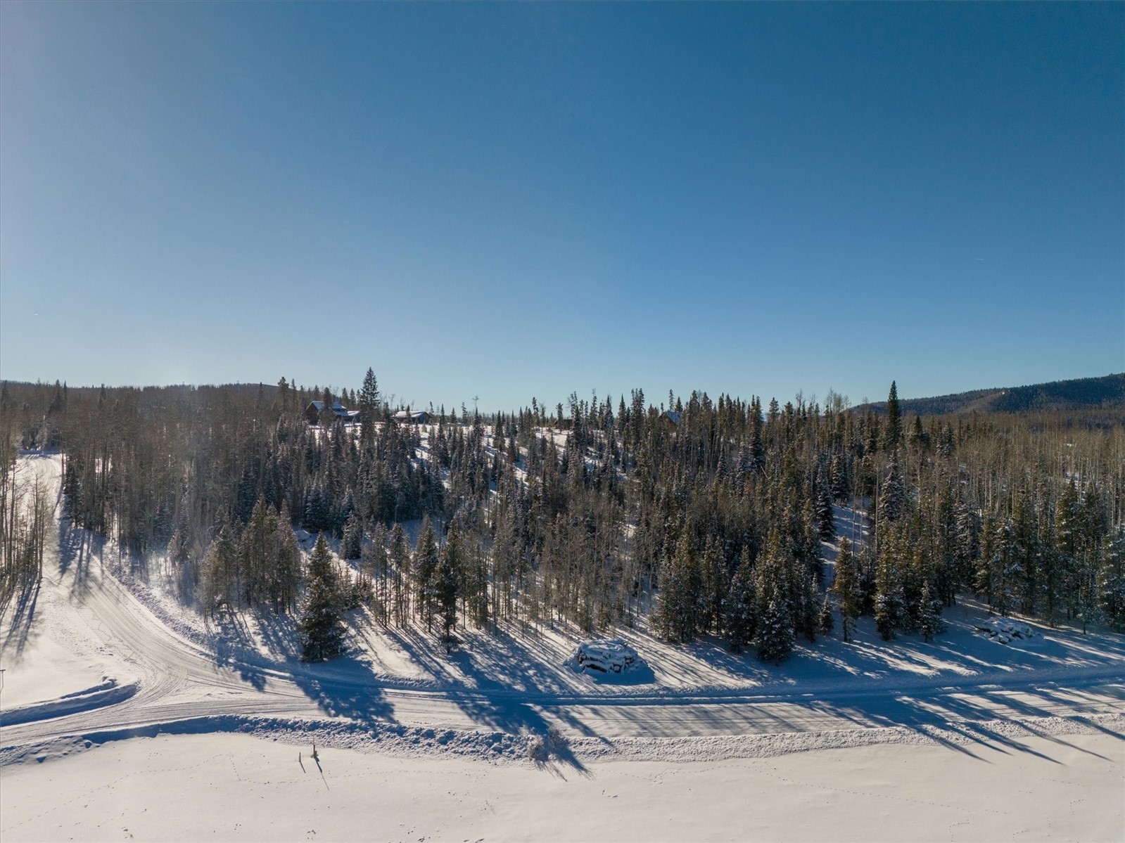 59100 Button Willow DRIVE