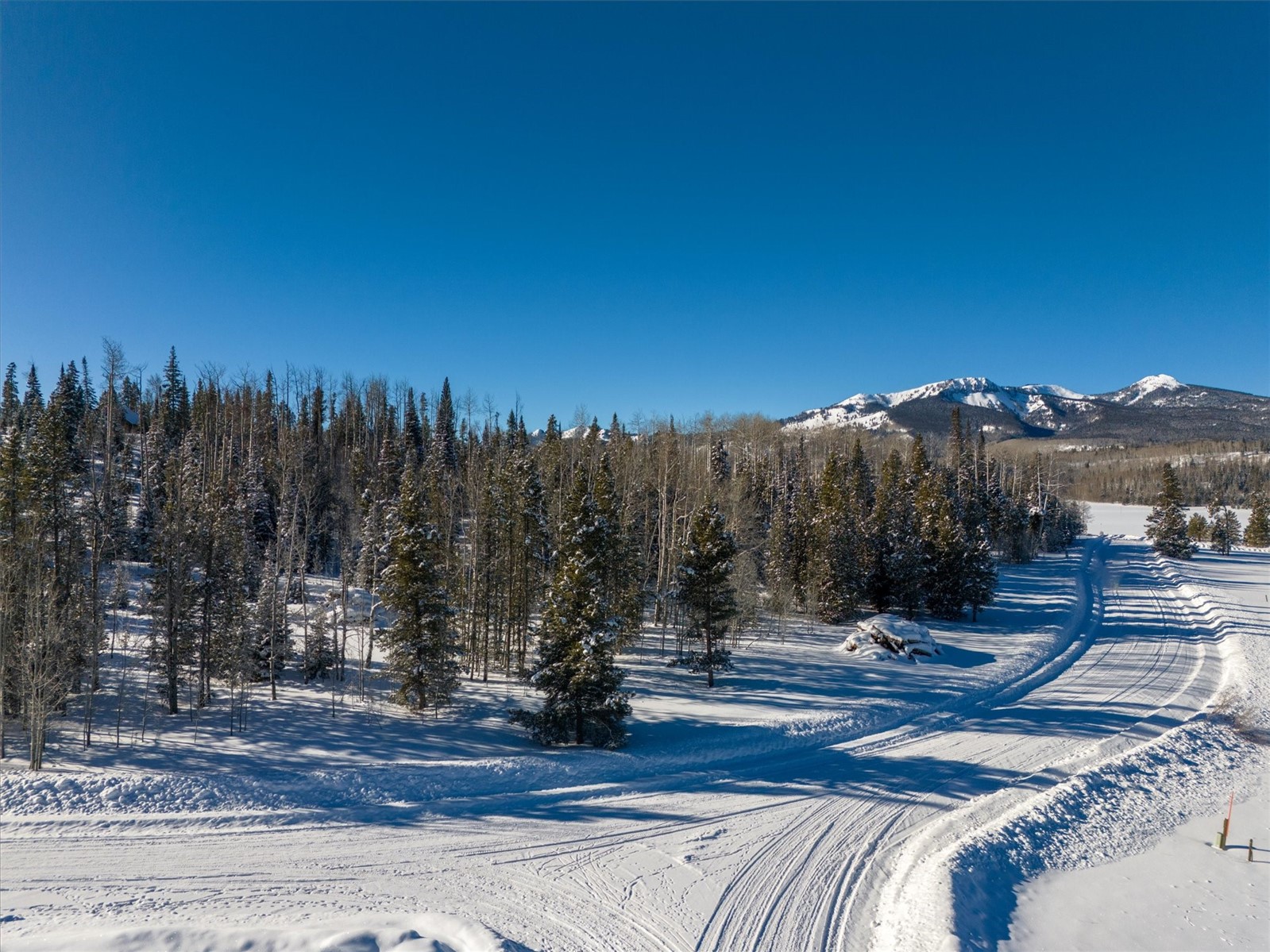 59100 Button Willow DRIVE