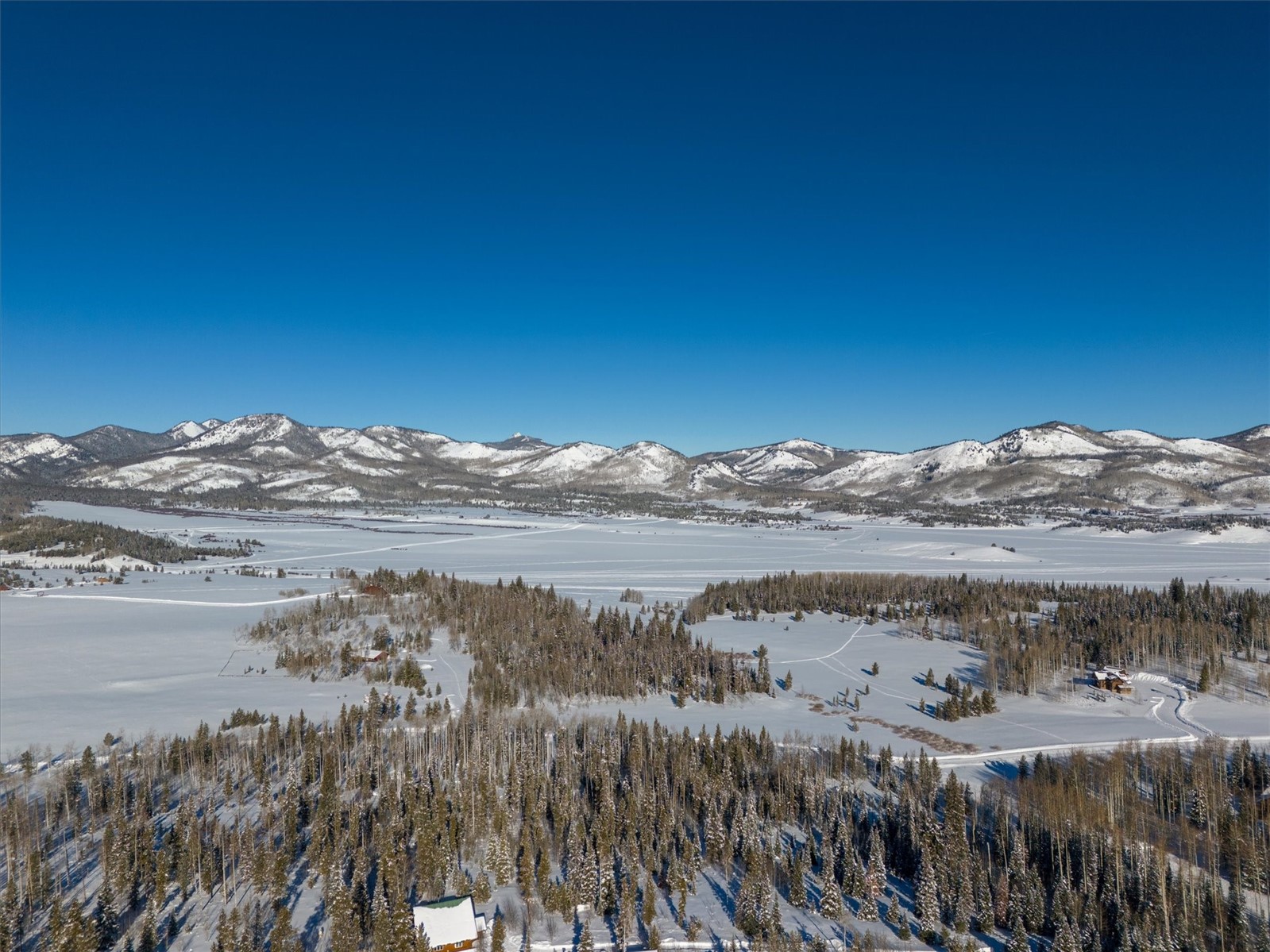 59100 Button Willow DRIVE