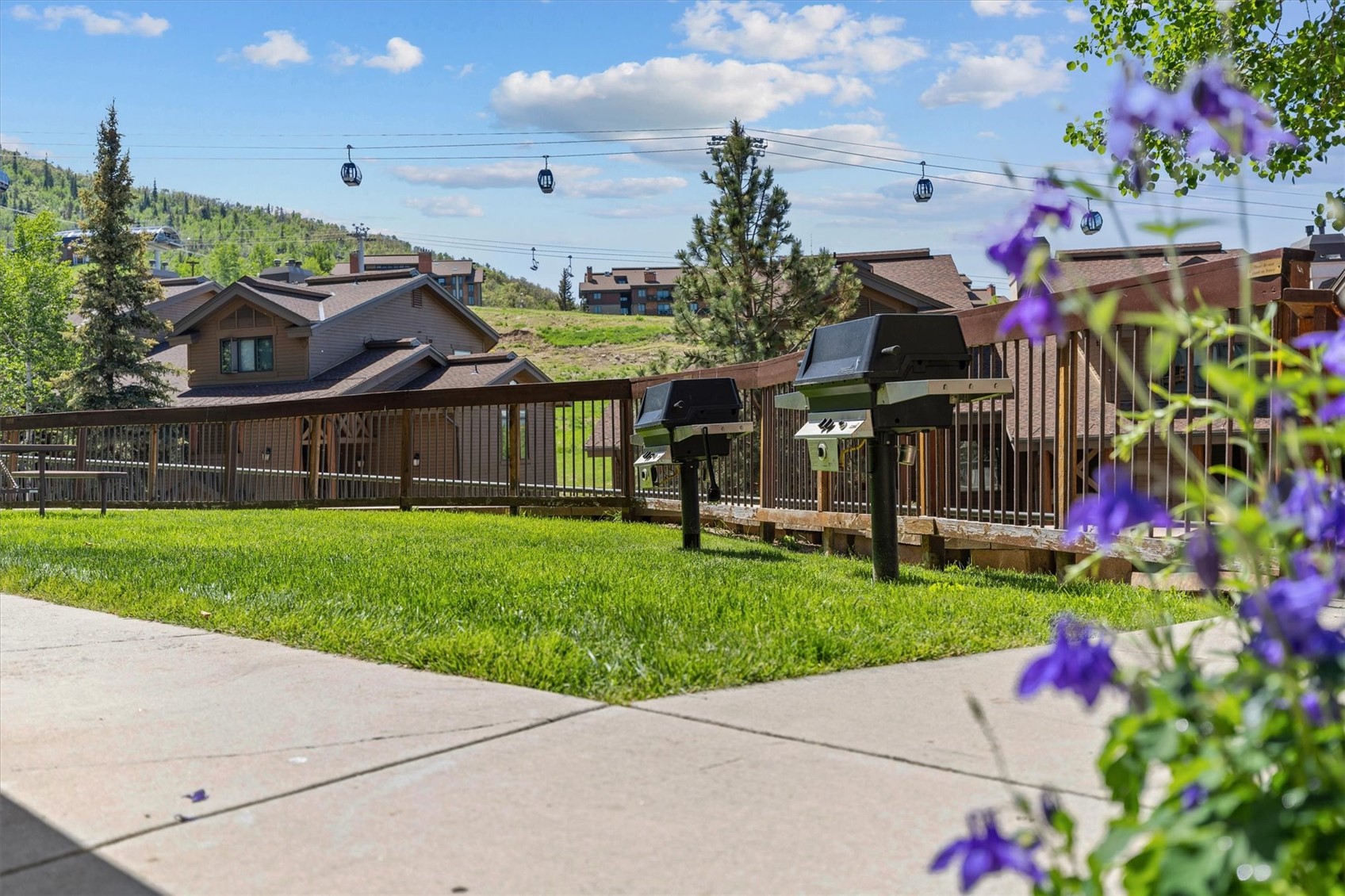 2215 Storm Meadows DRIVE 100