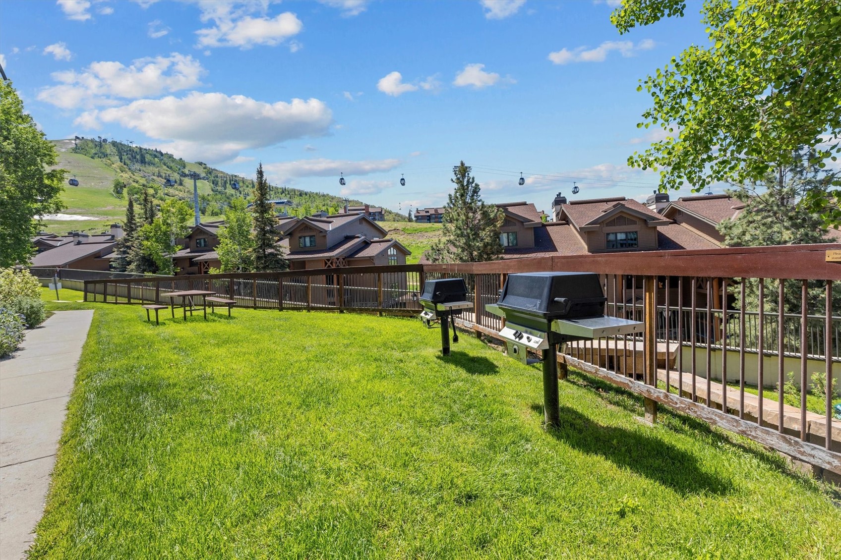 2215 Storm Meadows DRIVE 100