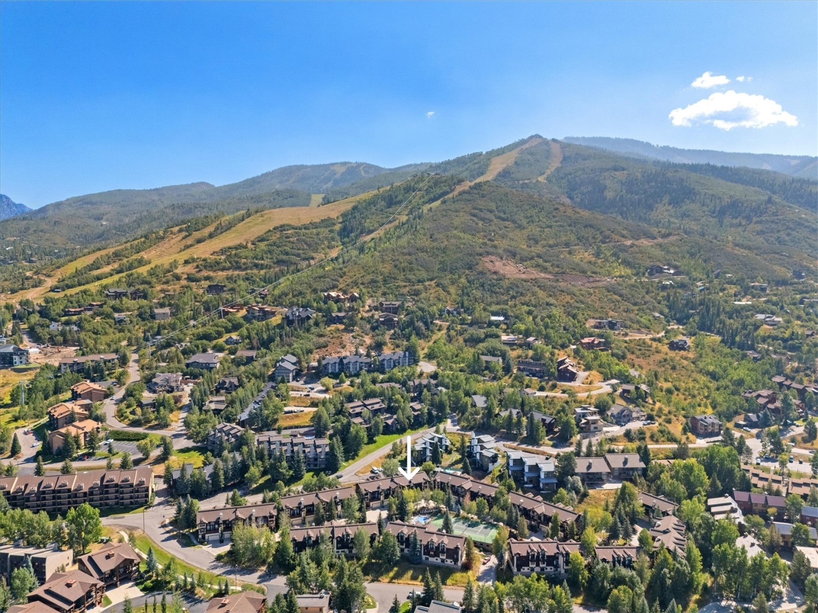 2704 Cross Timbers TRAIL