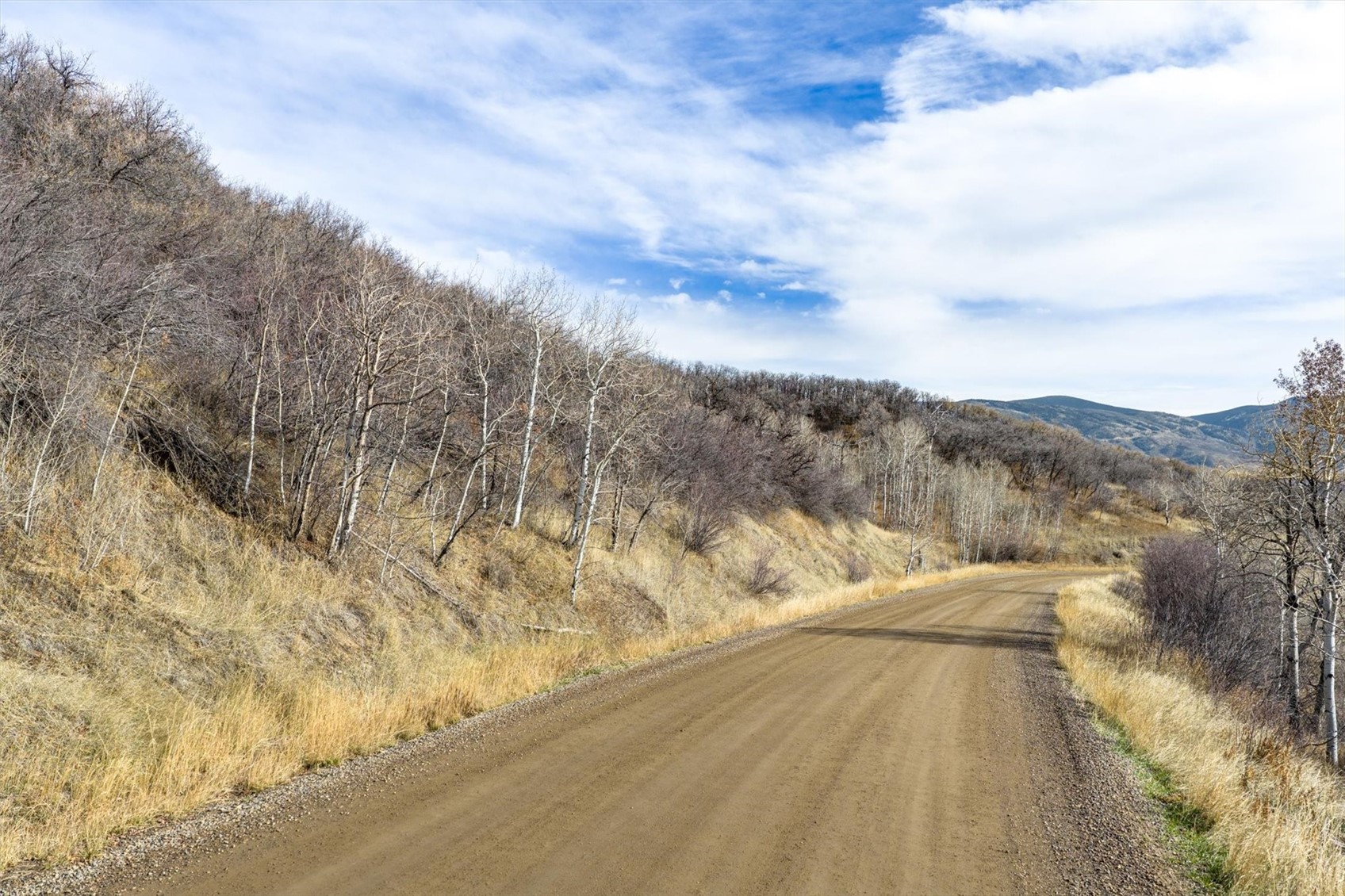 21440 Whitewood DRIVE W