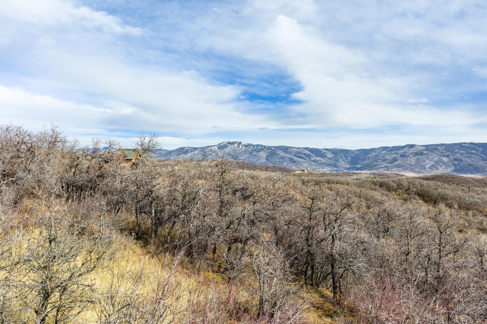 21440 Whitewood DRIVE W