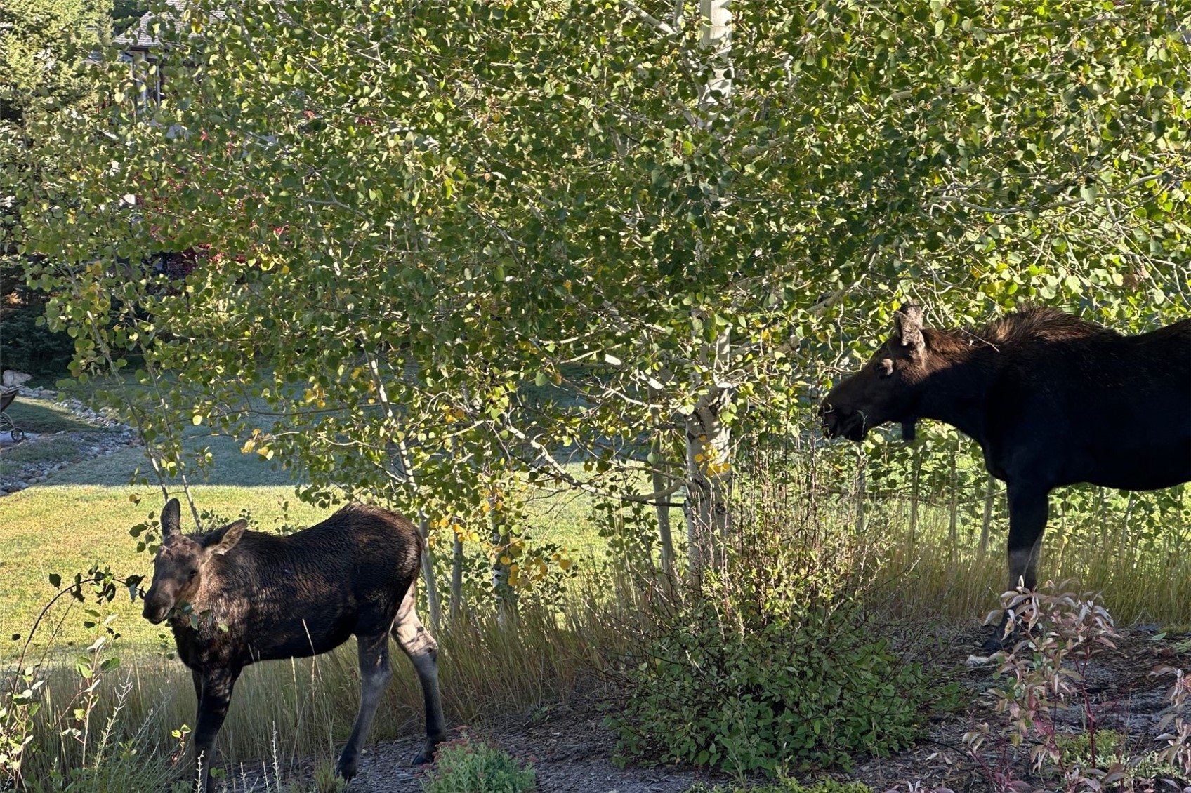 1169 Longview CIRCLE