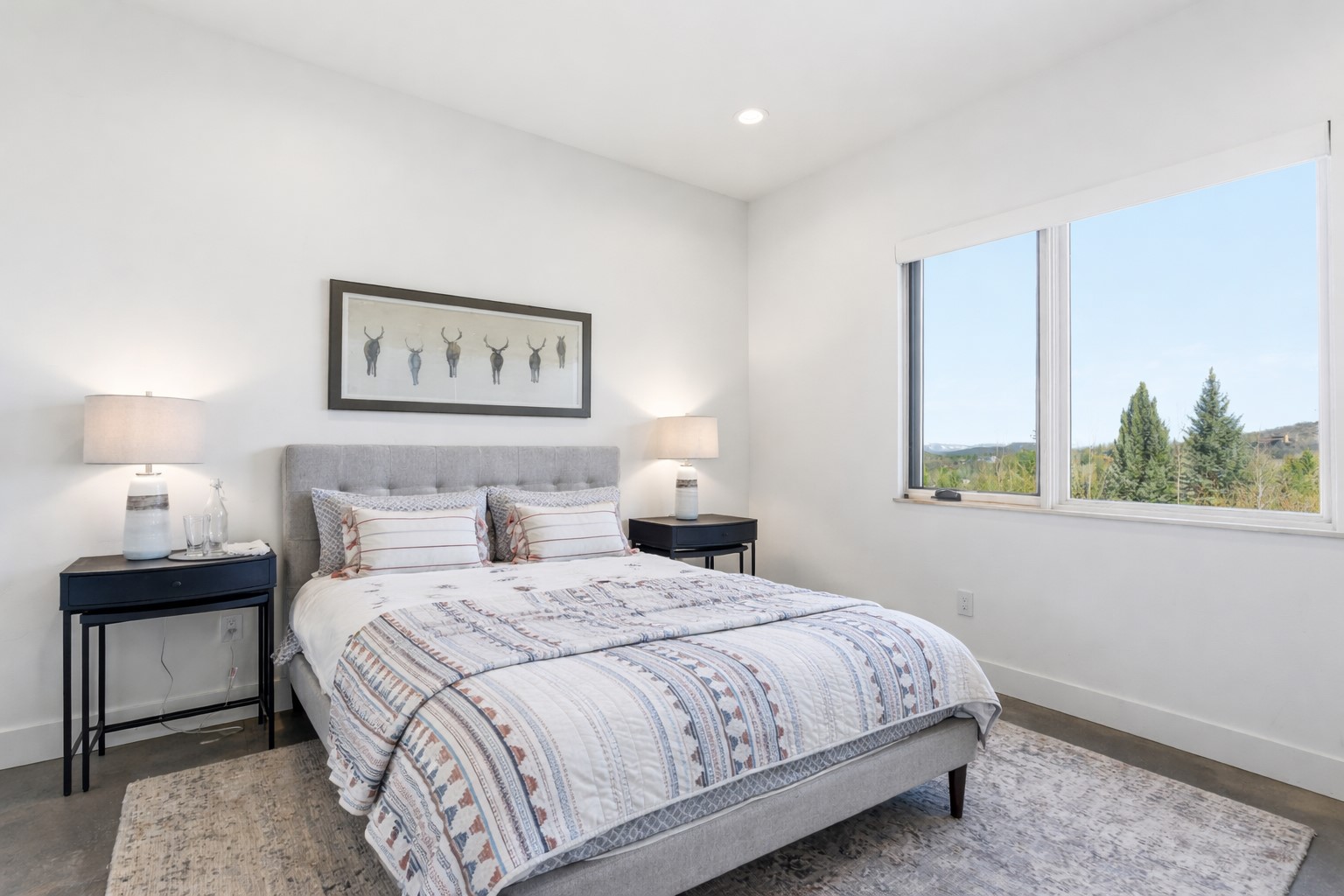 1136 Steamboat BOULEVARD