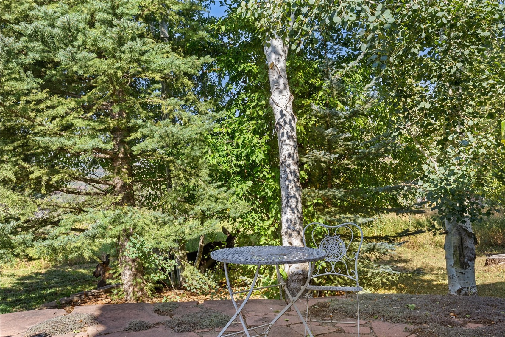 345 Steamboat BOULEVARD