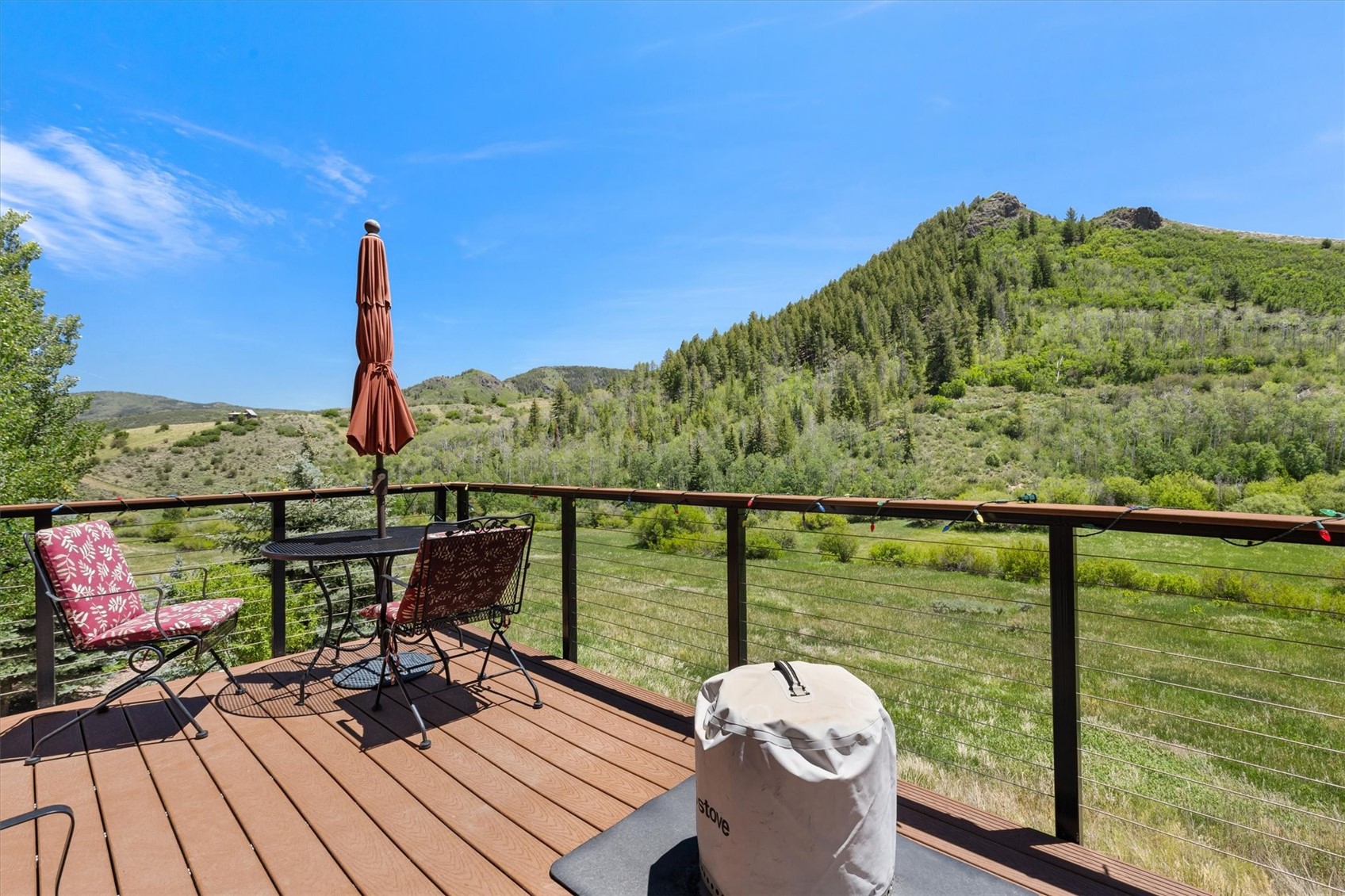 30390 Coyote Run COURT
